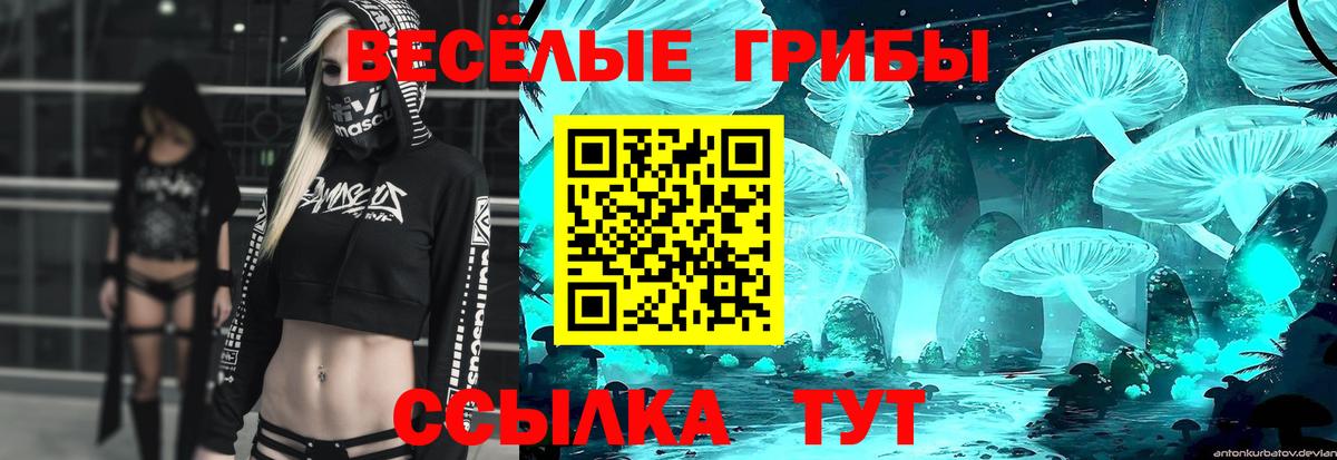 Вичуга  Псилоцибиновые грибы мухоморы  Вход с VPN 